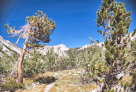 Kern-Kaweah River trail - Sequoia National Park 01 Sep 1971