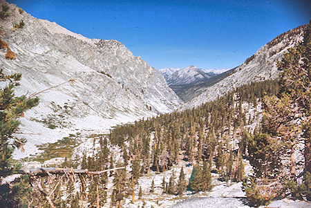 Big Wet Meadow, Cloud Canyon - Kings Canyon National Park 03 Sep 1971