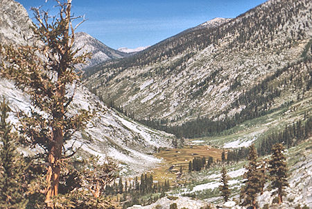 Big Wet Meadow - Kings Canyon National Park 03 Sep 1971