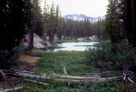 Chain of Lakes - Hoover Wilderness - Aug 1966