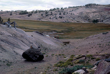 Meadow near Emigrant Pass - Hoover Wilderness - Aug 1966