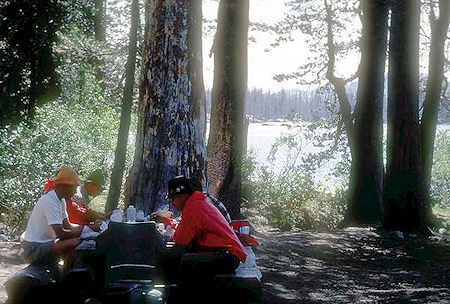 Tim McSweeney, Bob Johnson, Greg O'Leary, Ed Myers, Kevin Twohey at campsite on Huckleberry Lake - Emigrant Wilderness - Aug 1966