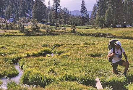 Getting a drink along the trail - John Muir Wilderness 19 Aug 1967