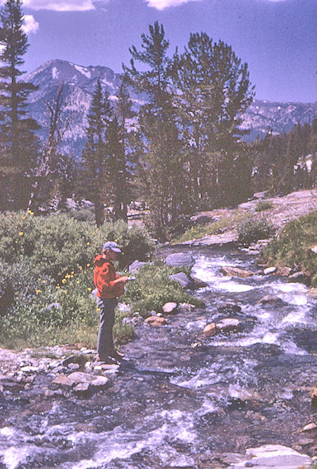 Duck Lake creek - John Muir Wilderness 20 Aug 1967