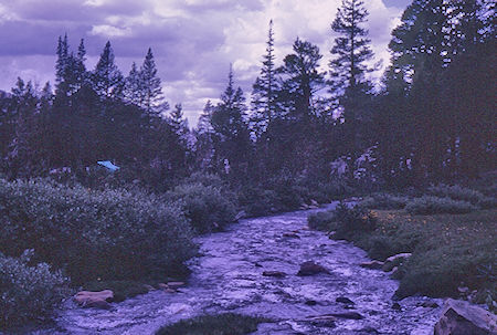 Fish Creek - John Muir Wilderness 21 Aug 1967