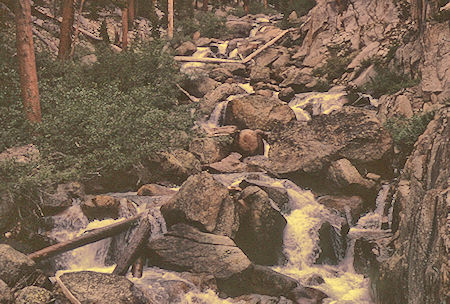 Fish Creek - John Muir Wilderness 22 Aug 1967