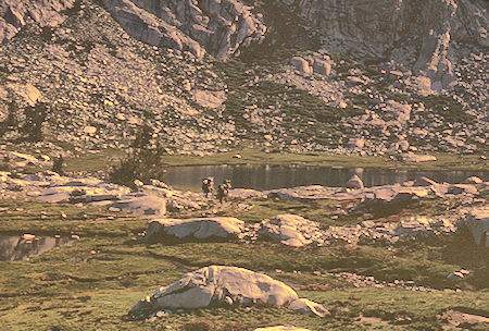 Silver Pass Trail - John Muir Wilderness 23 Aug 1967