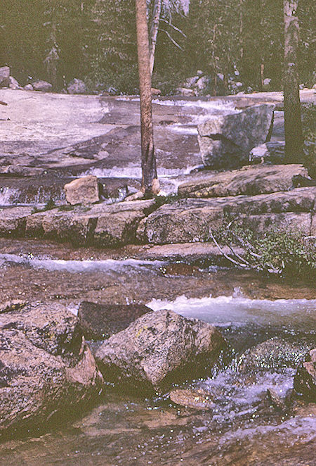 North Fork Mono Creek - John Muir Wilderness 23 Aug 1967