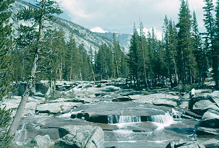 Bear Creek - John Muir Wilderness Aug 1959