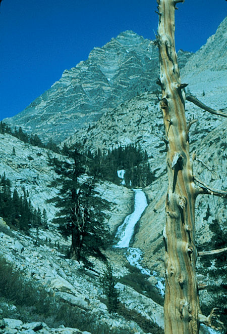 Pine Creek Falls - John Muir Wilderness 11 Jun 1977