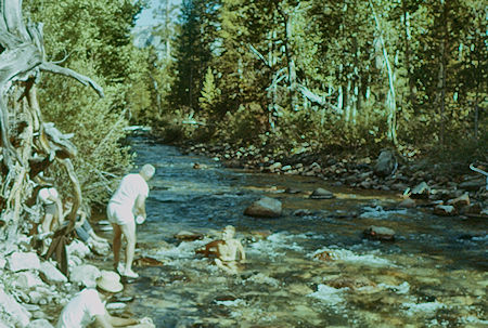 South Fork San Joaquin River at Aspen Meadow - Kings Canyon National Park 15 Aug 1960