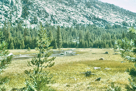 Evolution Meadow - Kings Canyon National Park 16 Aug 1960