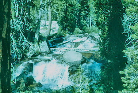 Near Palisade Creek below Deer Meadow - Kings Canyon National Park 19 Aug 1960