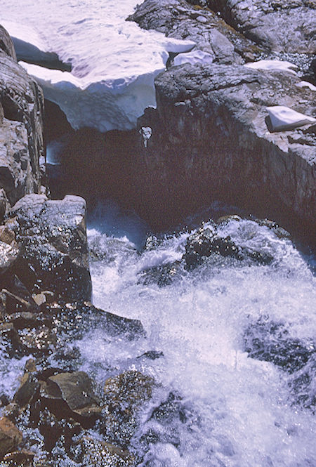LeConte Canyon - Kings Canyon National Park 21 Aug 1969