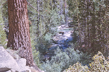 Palisade Creek - Kings Canyon National Park 19 Aug 1963