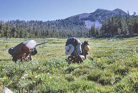 Ed Myers and Gil Beilke checking out something in Meadow - Kings Canyon National Park 29 Aug 1969