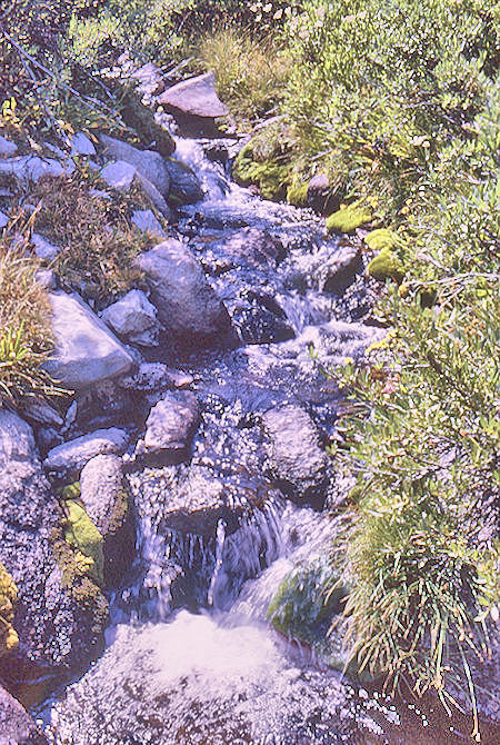 Stream in Sixty Lakes Basin - Kings Canyon National Park 02 Sep 1970