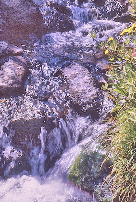 Stream in Sixty Lakes Basin - Kings Canyon National Park 02 Sep 1970