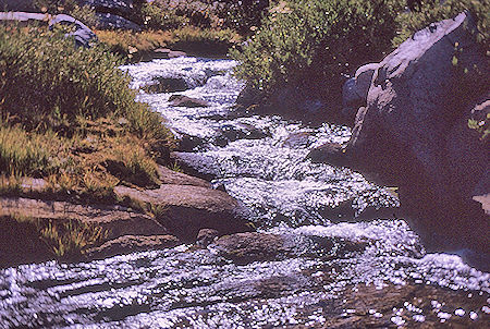 Gardiner Creek - Kings Canyon National Park 04 Sep 1970