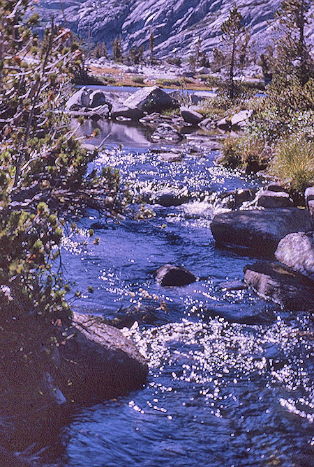 Gardiner Creek - Kings Canyon National Park 04 Sep 1970