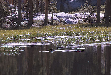 Lake near Gardiner Pass - Kings Canyon National Park 05 Sep 1970