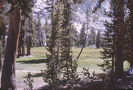 Vidette Meadow - Kings Canyon National Park 25 Aug 1963