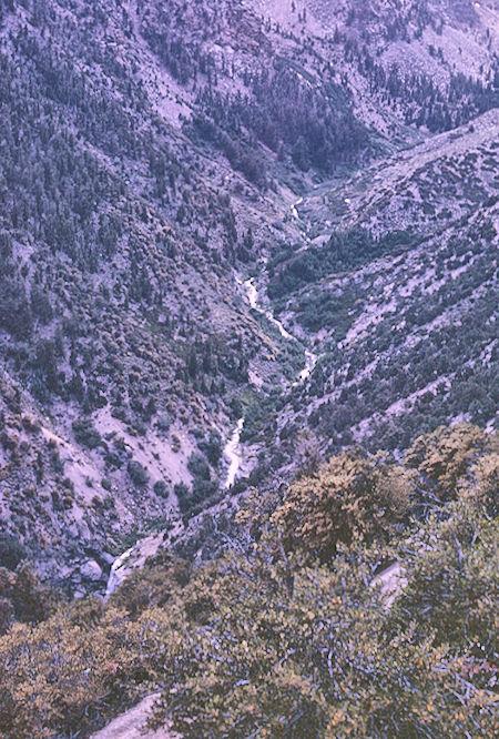Shepherd Creek from Shepherd Pass Trail - John Muir Wilderness 27 Aug 1967