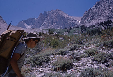 Mt. Barnard - North Fork of George Creek - Jul 1964