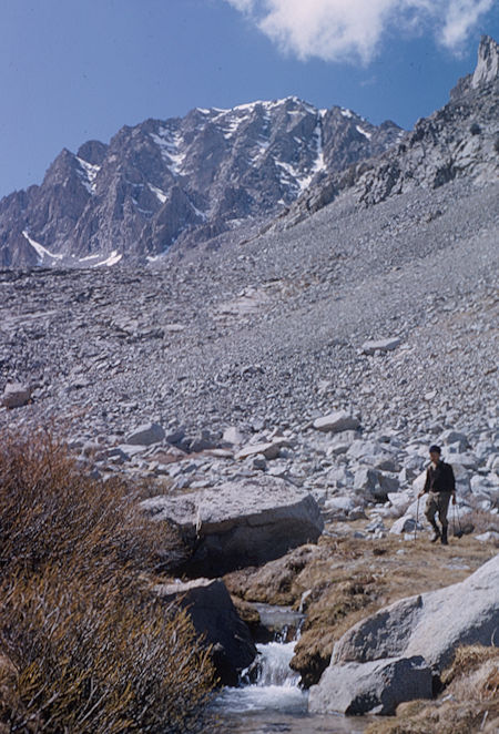 Mt. Williamson from North Fork George Creek - May 1964