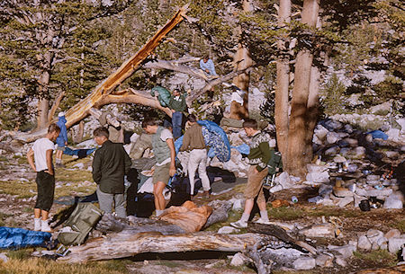 Tyndall Creek Camp - Sequoia National Park 19 Aug 1965