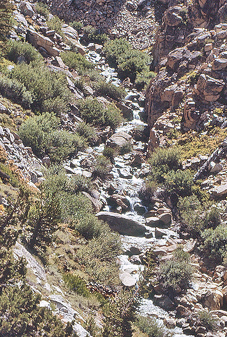 Wallace Creek - Sequoia National Park 31 Aug 1971