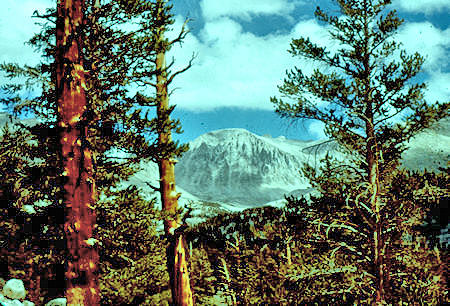 Mount Whitney from Crabtree Meadow trail - 01 Sep 1960