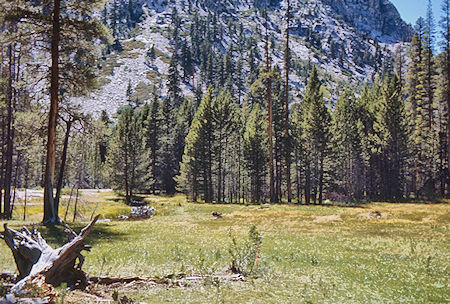 Junction Meadow - Sequoia National Park 31 Aug 1971