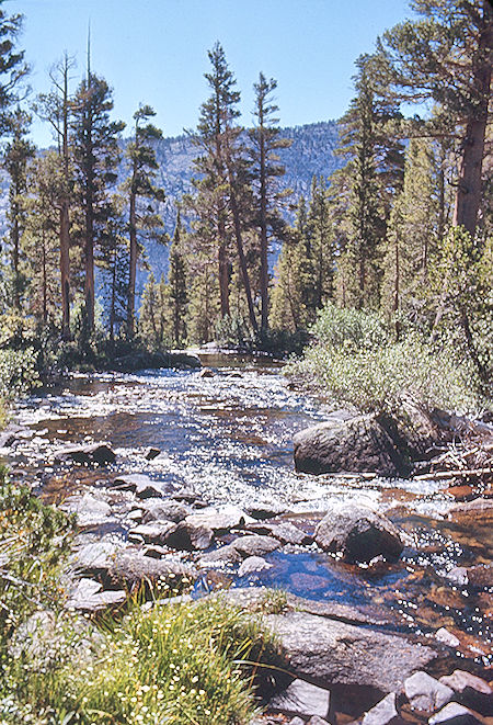 Kern-Kaweah River - Sequoia National Park 01 Sep 1971