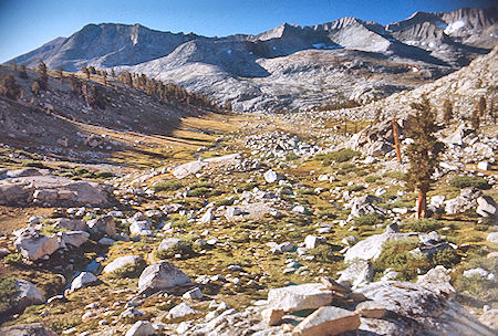 Looking back on Colby Pass trail - Sequoia National Park 03 Sep 1971