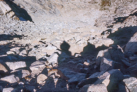 Switchbacks descending Colby Pass - Kings Canyon National Park 03 Sep 1971