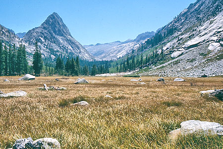 Big Wet Meadow - Kings Canyon National Park 03 Sep 1971