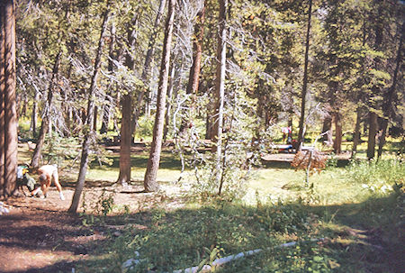 Sphinx Creek camp - Kings Canyon National Park 04 Sep 1971