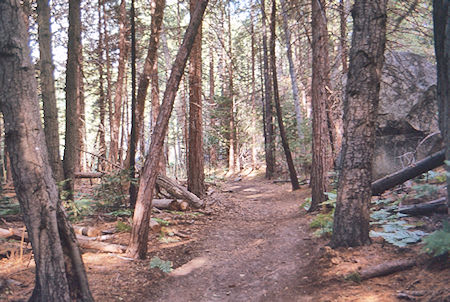 Trail down Kings River to Kings Canyon trailhead - Kings Canyon National Park 05 Sep 1971