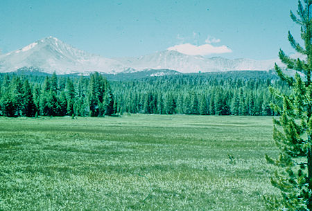 Sky Parlor Meadow, Mount Kaweah - Sequoia National Park 21 Jul 1957