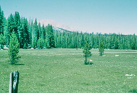 Moraine Lake pasture - Sequoia National Park 21 Jul 1957