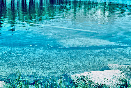 Moraine Lake showing clear water, log 5' below surface - Sequoia National Park 20 Jul 1957