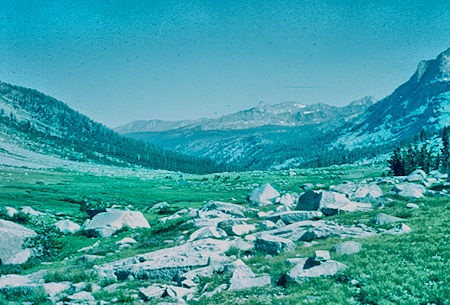 View down Big Arroyo - Sequoia National Park 20 Jul 1957