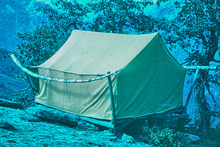 Tent at Bearpaw Camp - Sequoia National Park 19 Jul 1957