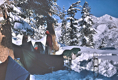 Happy New Year 1965; Morning at Heather Gap camp on Pear Lake Ski Trail - Sequoia National Park 1965