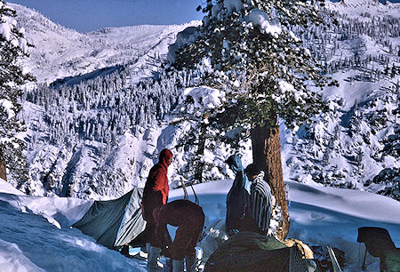 Morning at Heather Gap camp - Sequoia National Park 1965