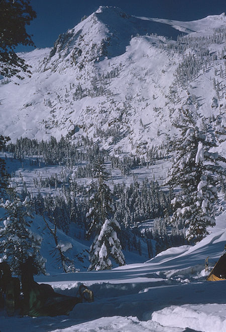View from Heather Gap camp - Sequoia National Park 1965