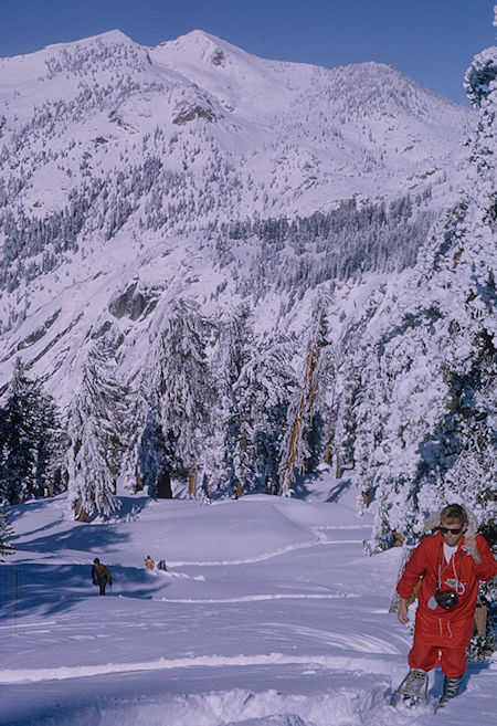 Climbing slope on way toward Alta Peak - Sequoia National Park1965