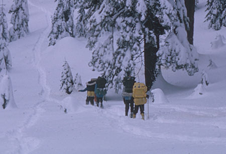 On the way out - Sequoia National Park 1965
