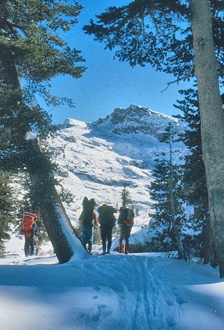 Alta Peak above Emerald Lake - Sequoia National Park 1973